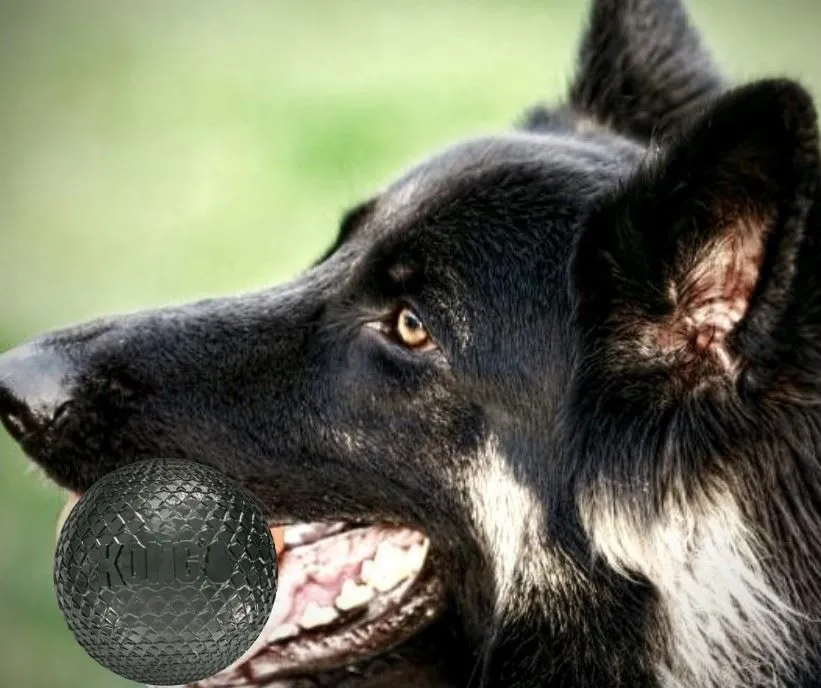 Kong DuraMax Dog Ball